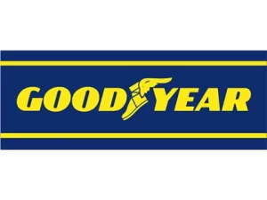 Goodyers Brasil